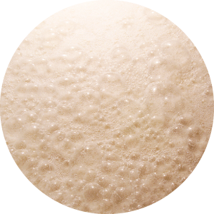 乳酸菌発酵エキスLK-16