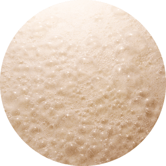 乳酸菌発酵エキスLK-16