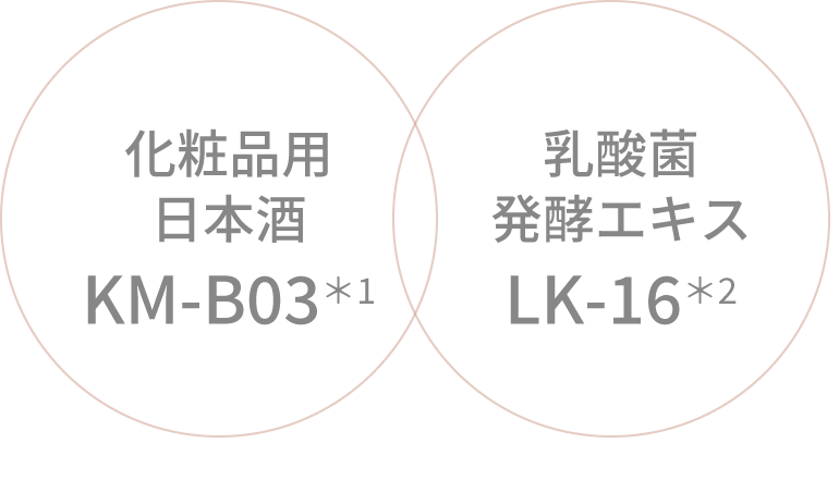 化粧品用日本酒KM-B03 乳酸菌発酵エキスLK-16